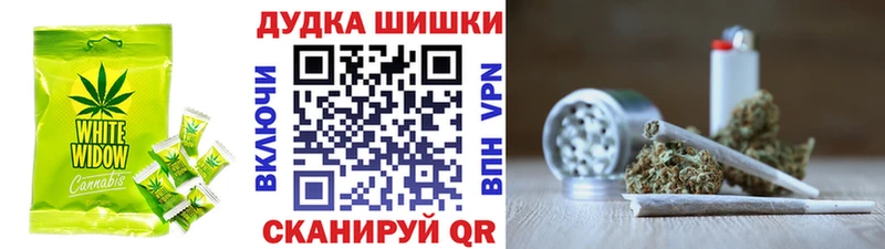 Canna-Cookies марихуана цена Пущино