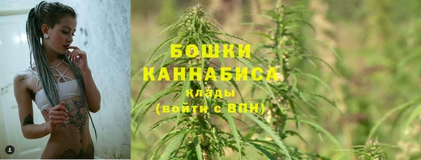 твердый Алзамай