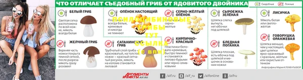 твердый Алексеевка