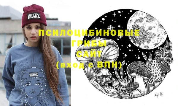 твердый Алзамай