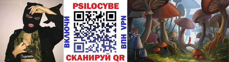 Псилоцибиновые грибы мухоморы  даркнет сайт  Пущино 